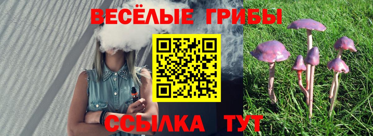 Галлюциногенные грибы Cubensis  Псилоцибиновые грибы мухоморы  Мурино  закладка  Вход с VPN 