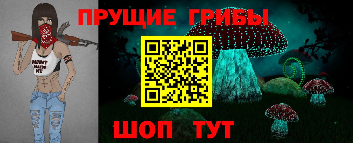 Псилоцибиновые грибы мицелий Мурино